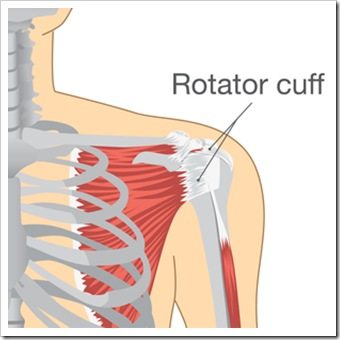 Shoulder Pain Somerset NJ Rotator Cuff Injury