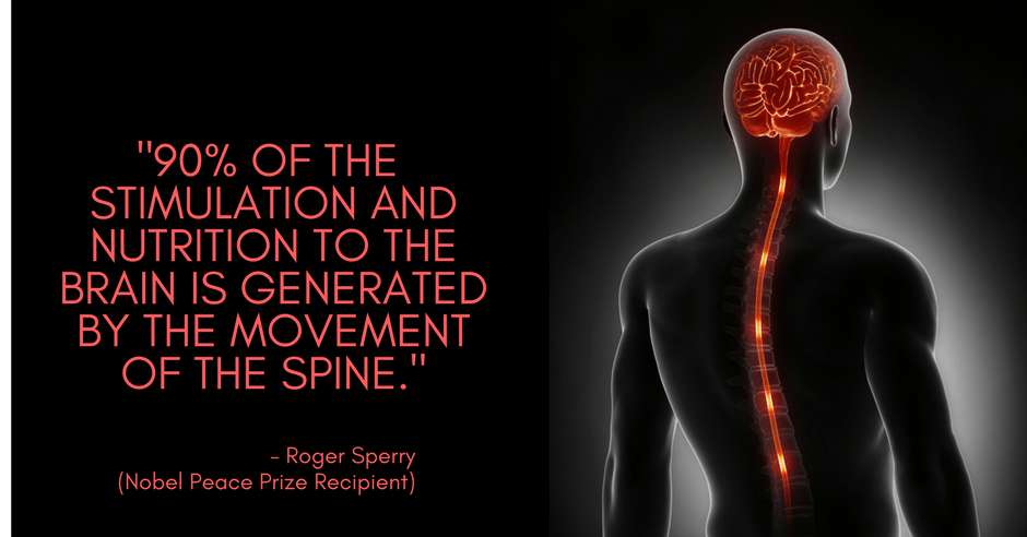 Brain Food Somerset NJ