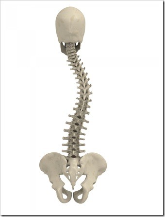 Scoliosis Somerset